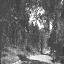 фото  новокузнецк 1937 сад металлургов на верхней колонии 1.jpg