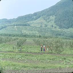 СССР в цветных фотографиях 1964