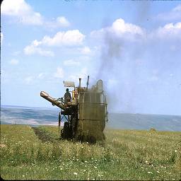 СССР в цветных фотографиях 1964