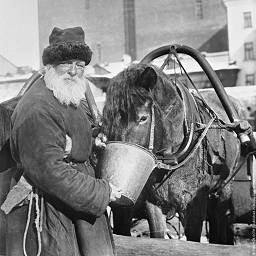 Извозчик поит лошадь водой, 1924