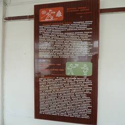 Идеально сохранившийся оригинальный интерьер в здании Женской консультации, плакат - спорт, поликлиника 5, Татищева, 63