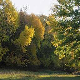 Предстоит найти два американских самолета типа "Кобра", совершивших вынужденную посадку в 1942 году, во время перегона с Аляски к линии фронта