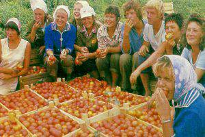 Сельское хозяйство Астраханского региона за 2000 год