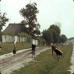 СССР в цветных фотографиях 1964