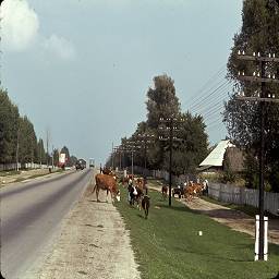 СССР в цветных фотографиях 1964