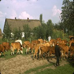 СССР в цветных фотографиях 1964