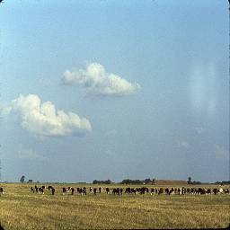 СССР в цветных фотографиях 1964