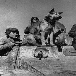 Экипаж советского бронеавтомобиля БА-10: старший сержант Е.Эндрексон, сержант В.П. Ершаков и овчарка Джульбарс. Южный фронт.