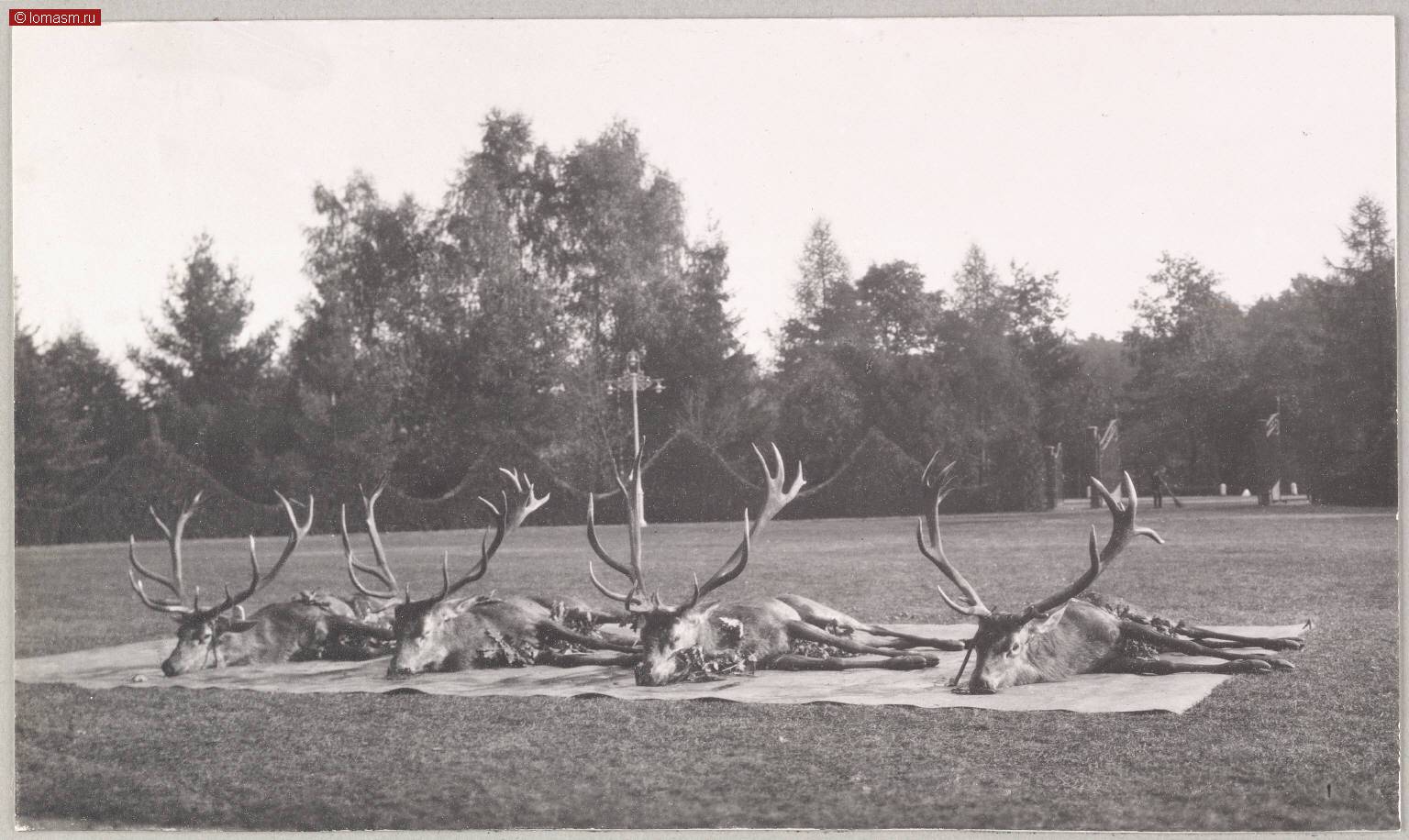 Фотографии семьи Романовых- Семейные фотоальбомы Анны Вырубовой- Альбом 1