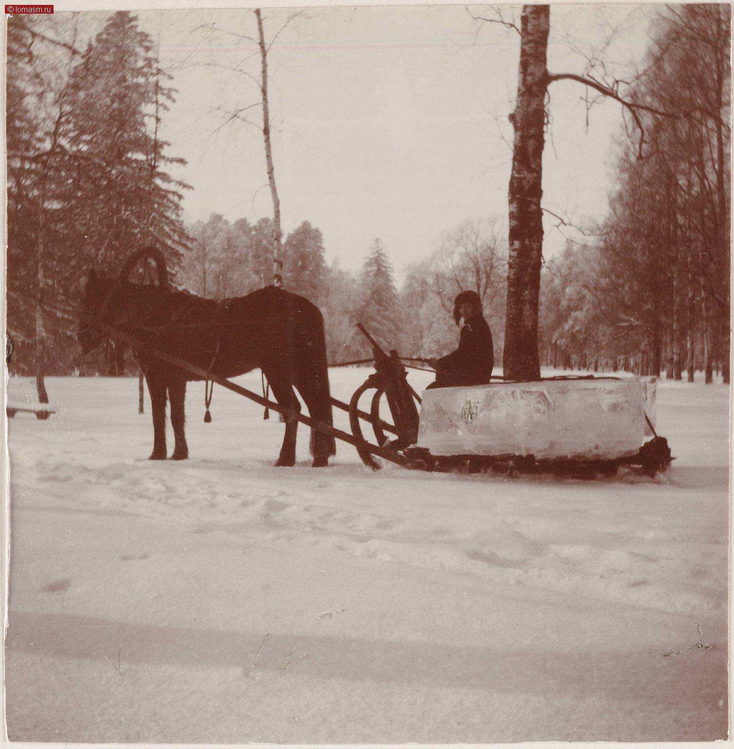 Фотографии семьи Романовых- Семейные фотоальбомы Анны Вырубовой- Альбом 4