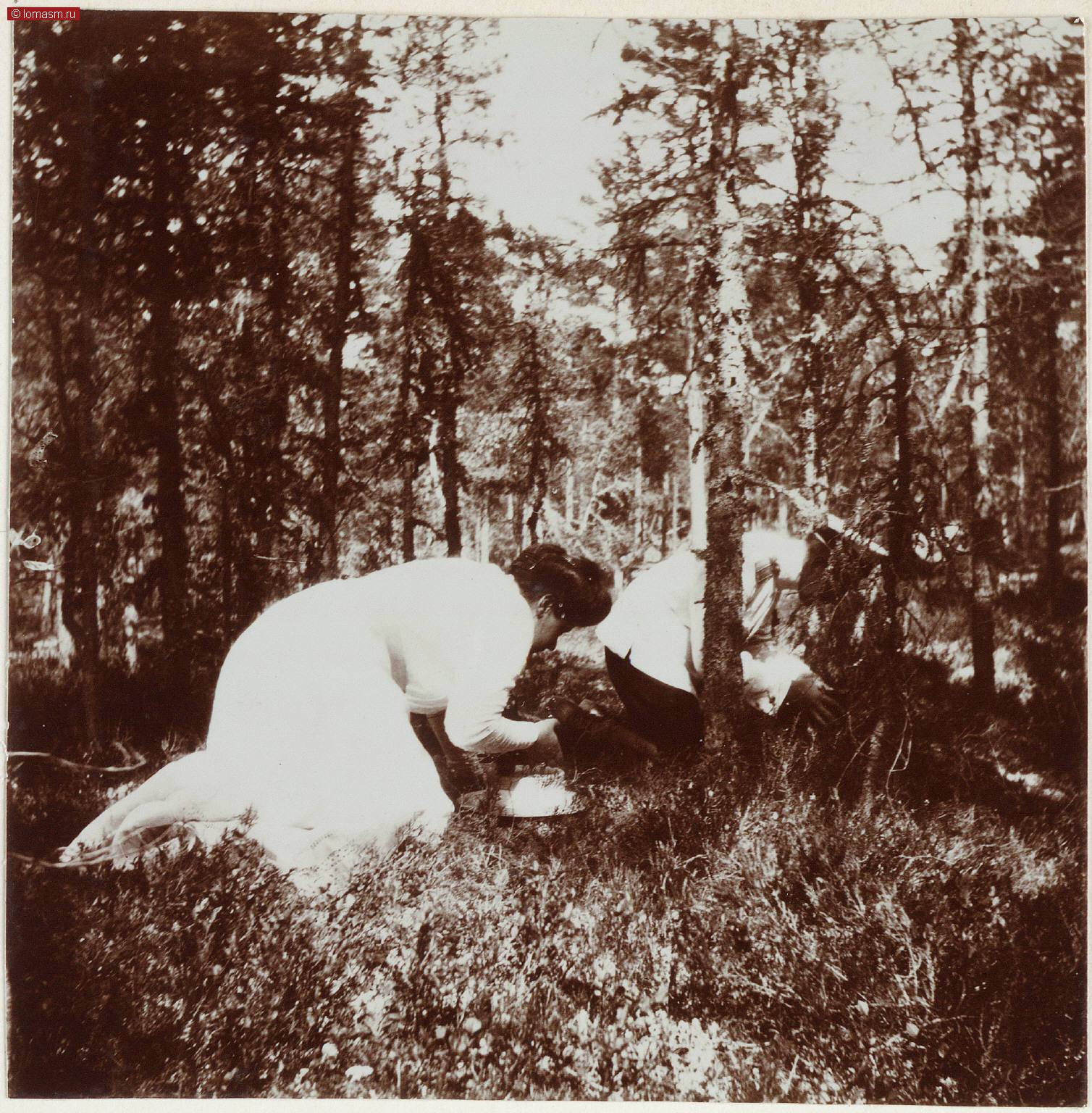 Фотографии семьи Романовых- Семейные фотоальбомы Анны Вырубовой- Альбом 4