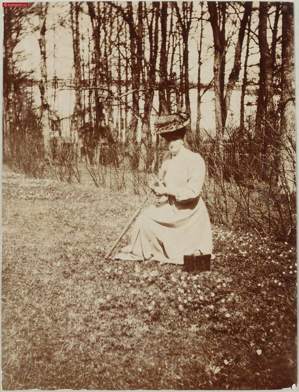 Фотографии семьи Романовых- Семейные фотоальбомы Анны Вырубовой- Альбом 5