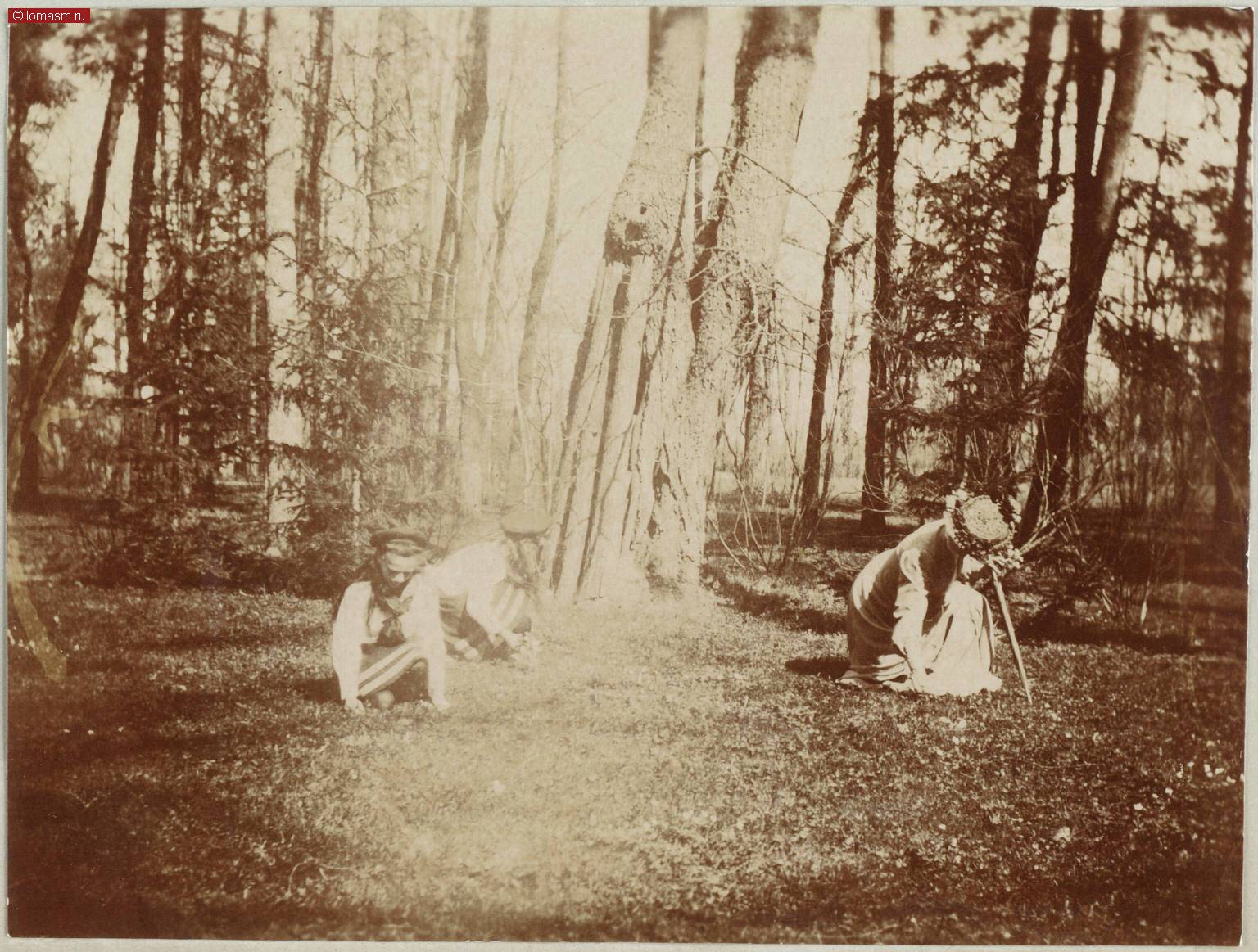 Фотографии семьи Романовых- Семейные фотоальбомы Анны Вырубовой- Альбом 5