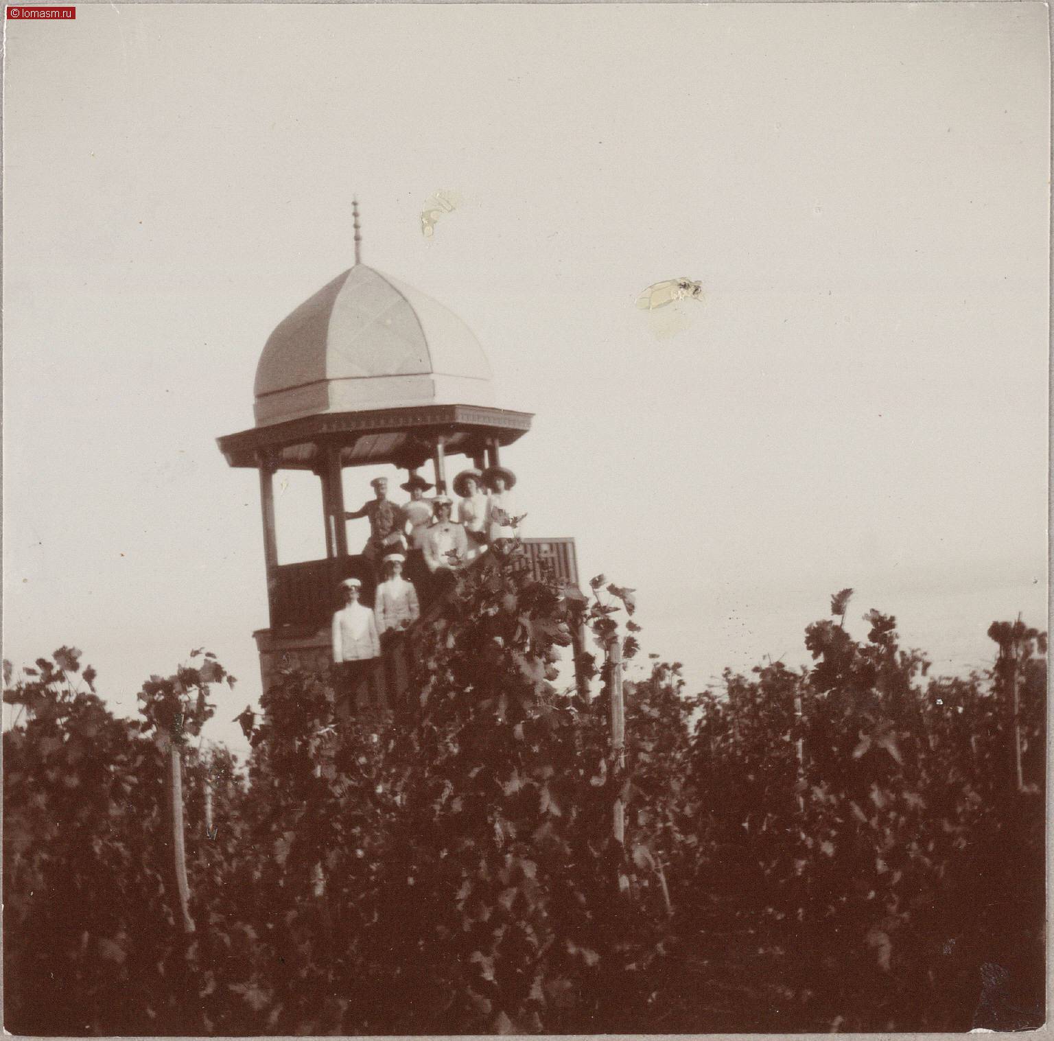 Фотографии семьи Романовых- Семейные фотоальбомы Анны Вырубовой- Альбом 6